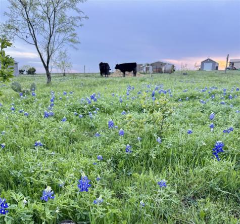 2332 County Road 2109 Lometa TX 76853