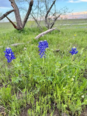 2332 County Road 2109 Lometa TX 76853