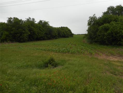 Tbd N Fm 619 Road Taylor TX 76574