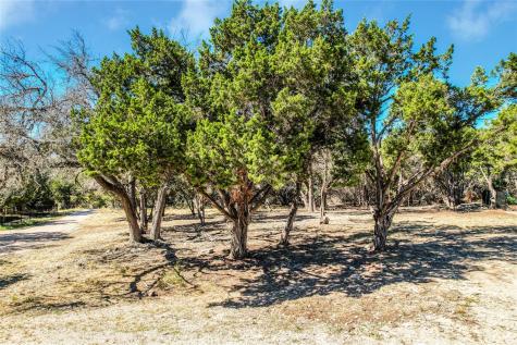 18620 Champions Circle Point Venture TX 78645