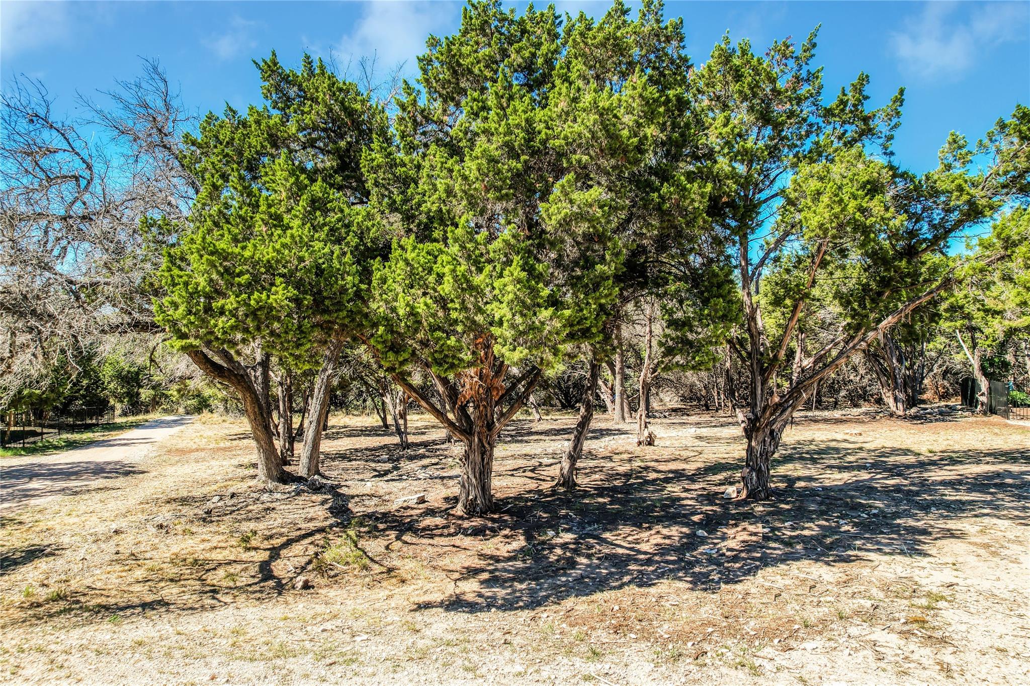 18620 Champions Circle Point Venture TX 78645
