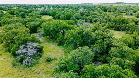 Parcel Id# 800675 Buck Run Road San Saba TX 76877