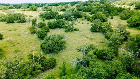 Parcel Id# 800675 Buck Run Road San Saba TX 76877