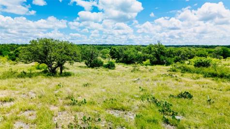 Parcel Id# 800675 Buck Run Road San Saba TX 76877