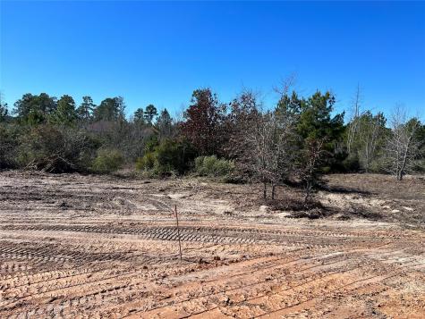 Lot 50 Martin Lane Paige TX 78659