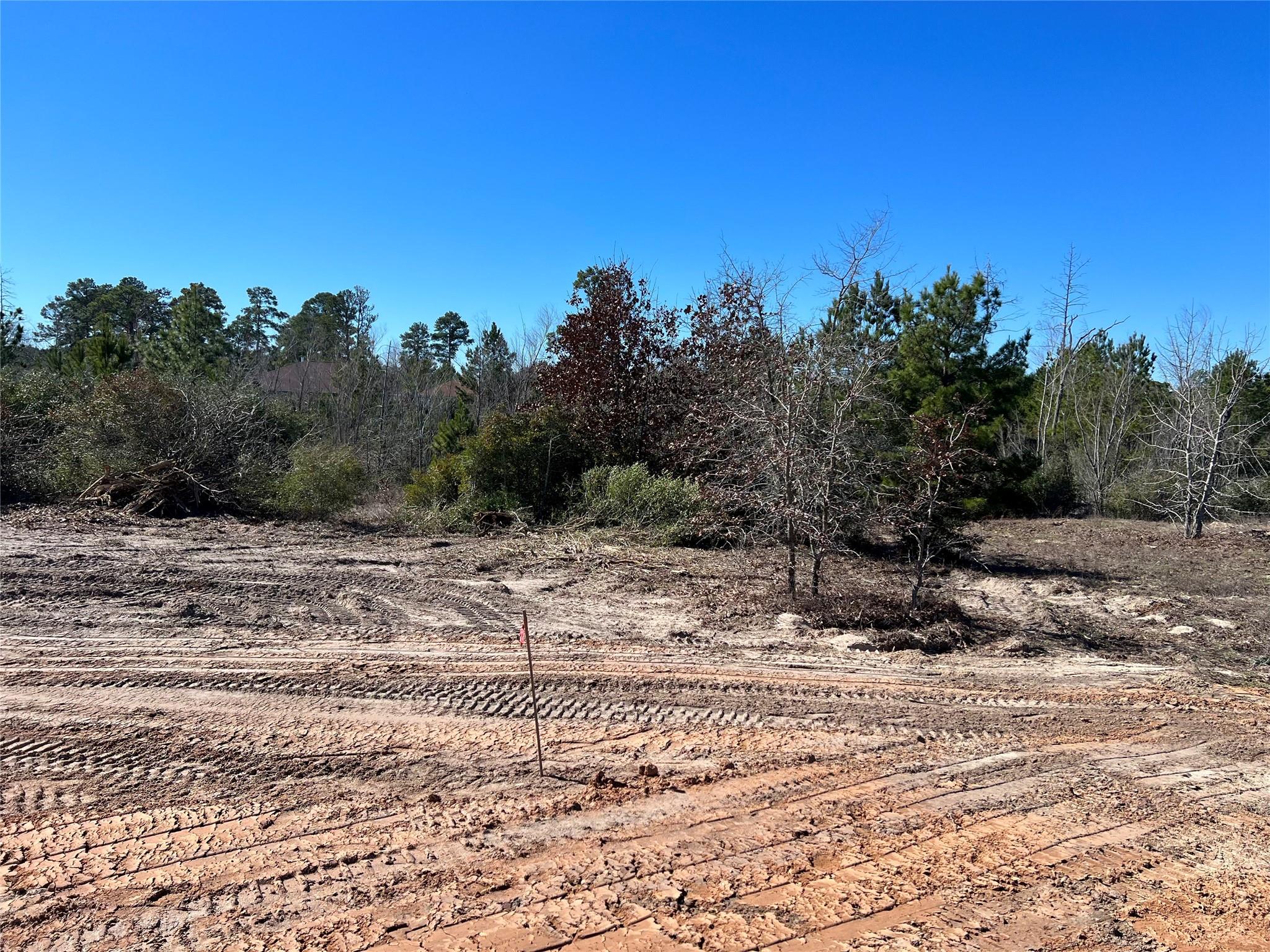 Lot 50 Martin Lane Paige TX 78659