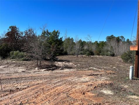 Lot 50 Martin Lane Paige TX 78659