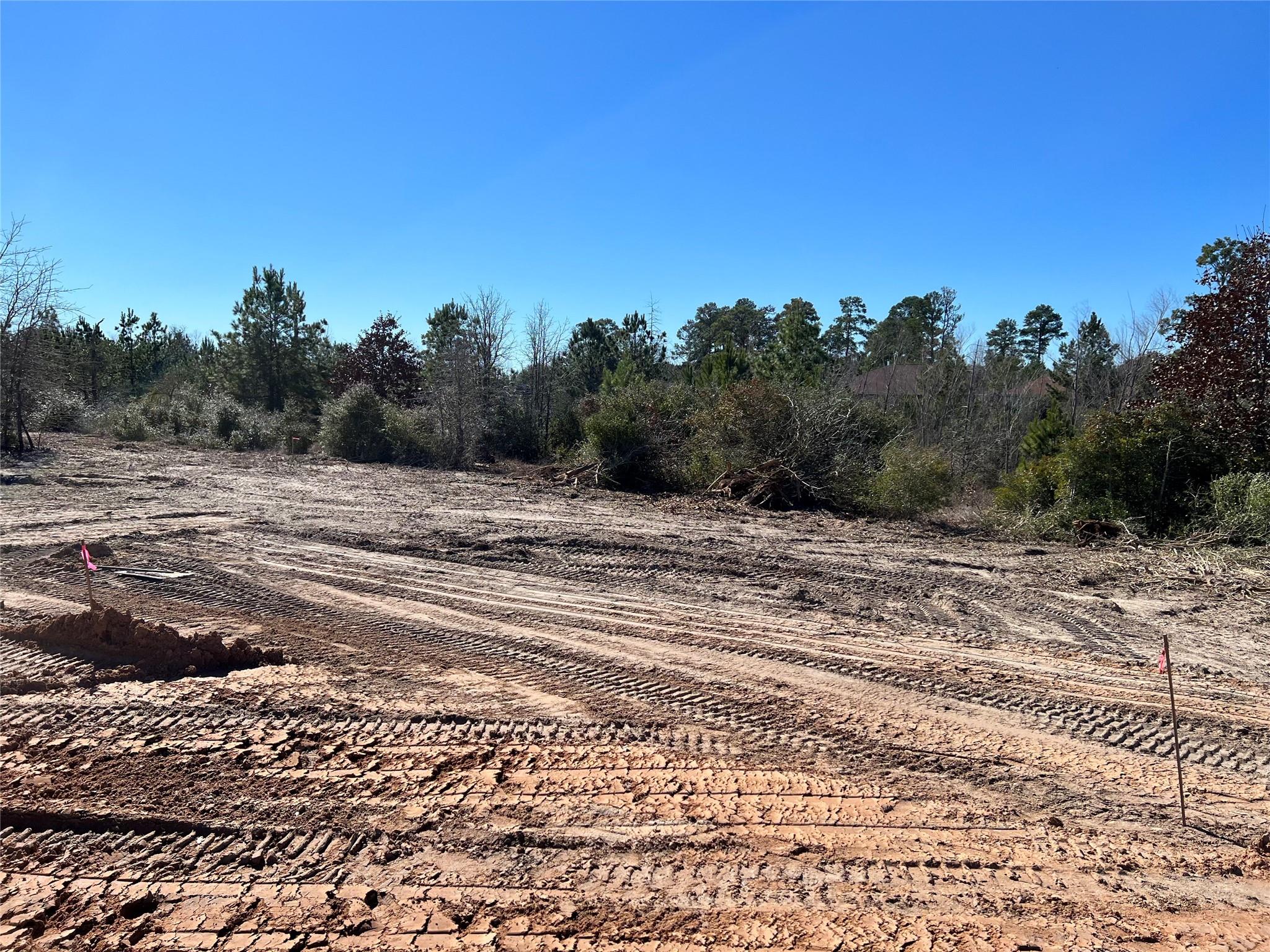 Lot 50 Martin Lane Paige TX 78659
