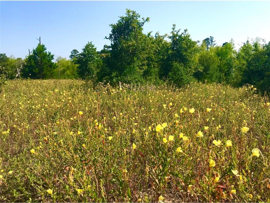 Lot 50 Martin Lane Paige TX 78659