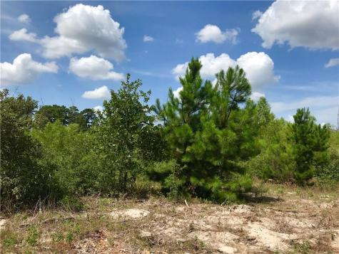 Lot 50 Martin Lane Paige TX 78659