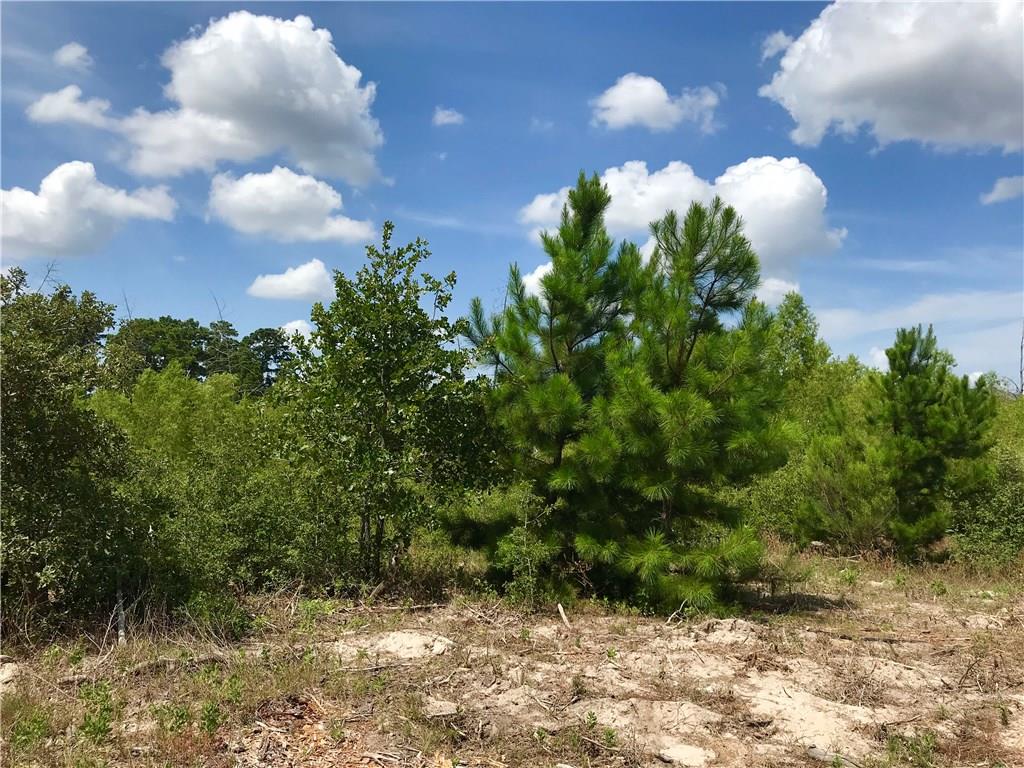 Lot 50 Martin Lane Paige TX 78659