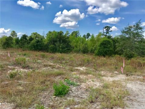 Lot 50 Martin Lane Paige TX 78659