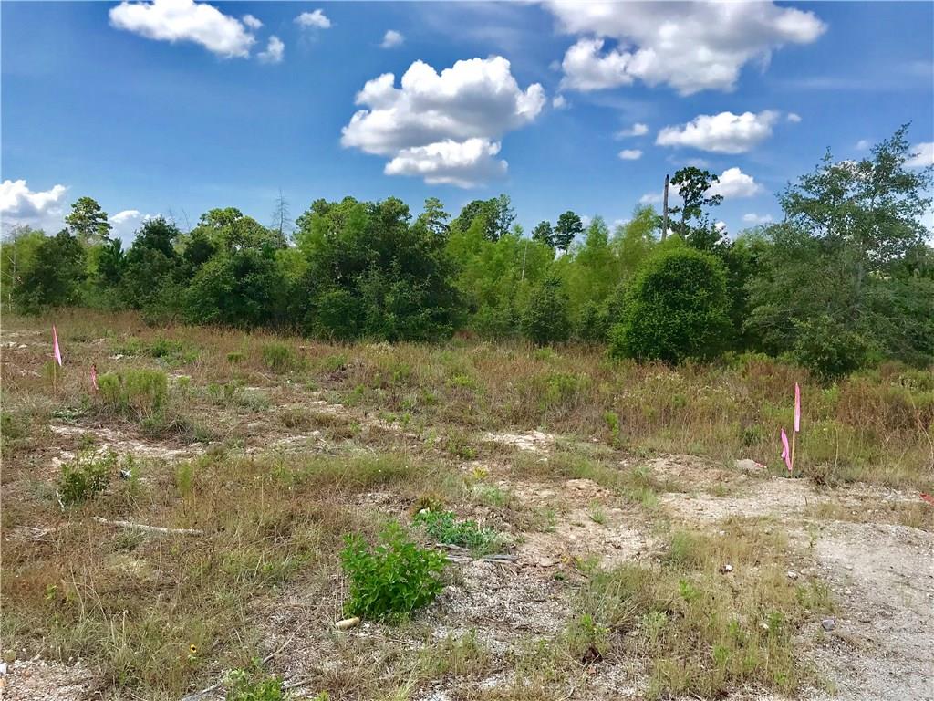 Lot 50 Martin Lane Paige TX 78659