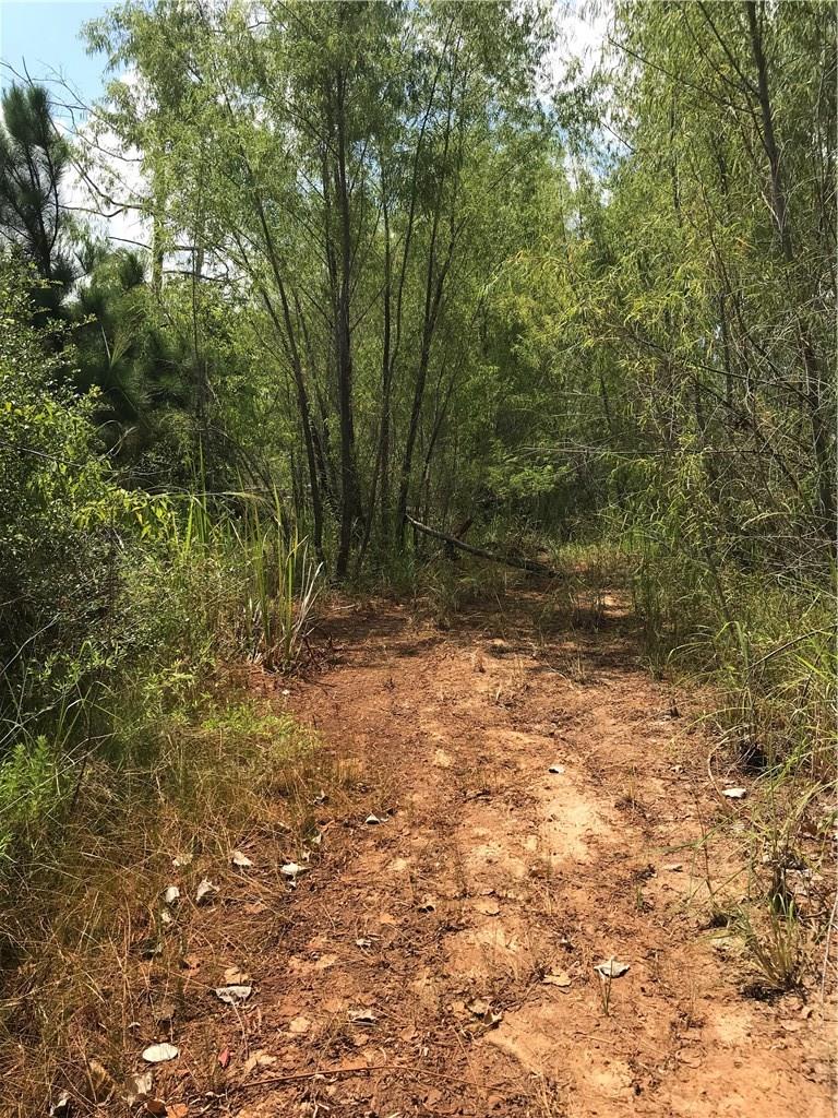Lot 50 Martin Lane Paige TX 78659