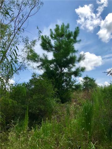 Lot 50 Martin Lane Paige TX 78659