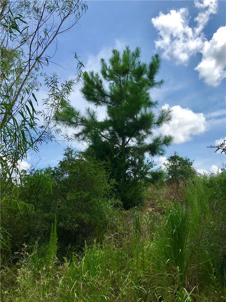Lot 50 Martin Lane Paige TX 78659