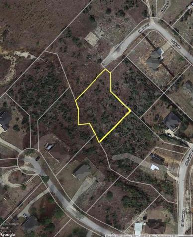 Lot 50 Martin Lane Paige TX 78659