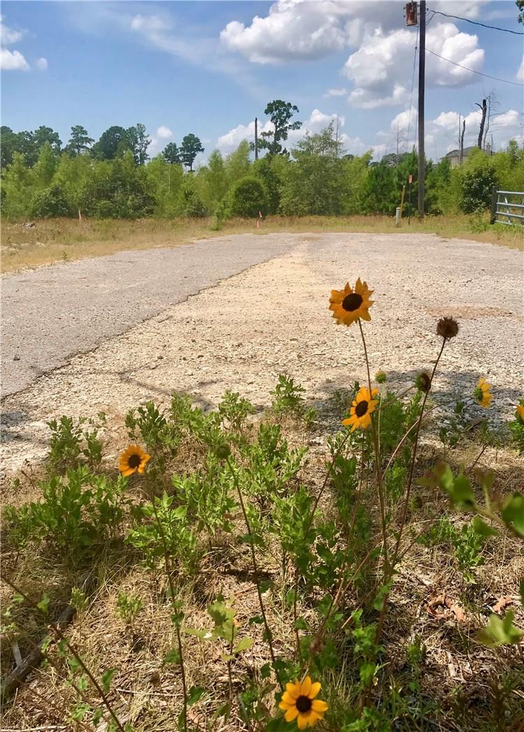 Lot 50 Martin Lane Paige TX 78659