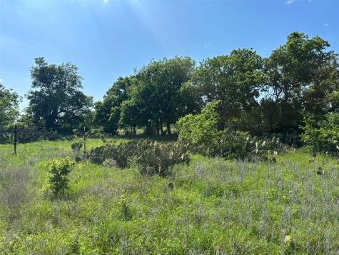 Lot 16 Titus Lane Bertram TX 78605