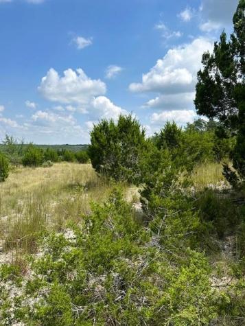 Tbd Lot 1 Soaring Eagle Drive Fischer TX 78623