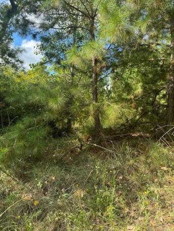 Lot 1338 Tahitian Drive Bastrop TX 78602