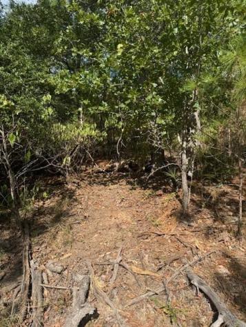 Lot 1338 Tahitian Drive Bastrop TX 78602