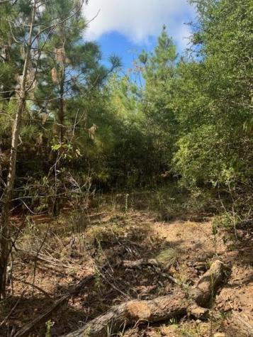 Lot 1338 Tahitian Drive Bastrop TX 78602