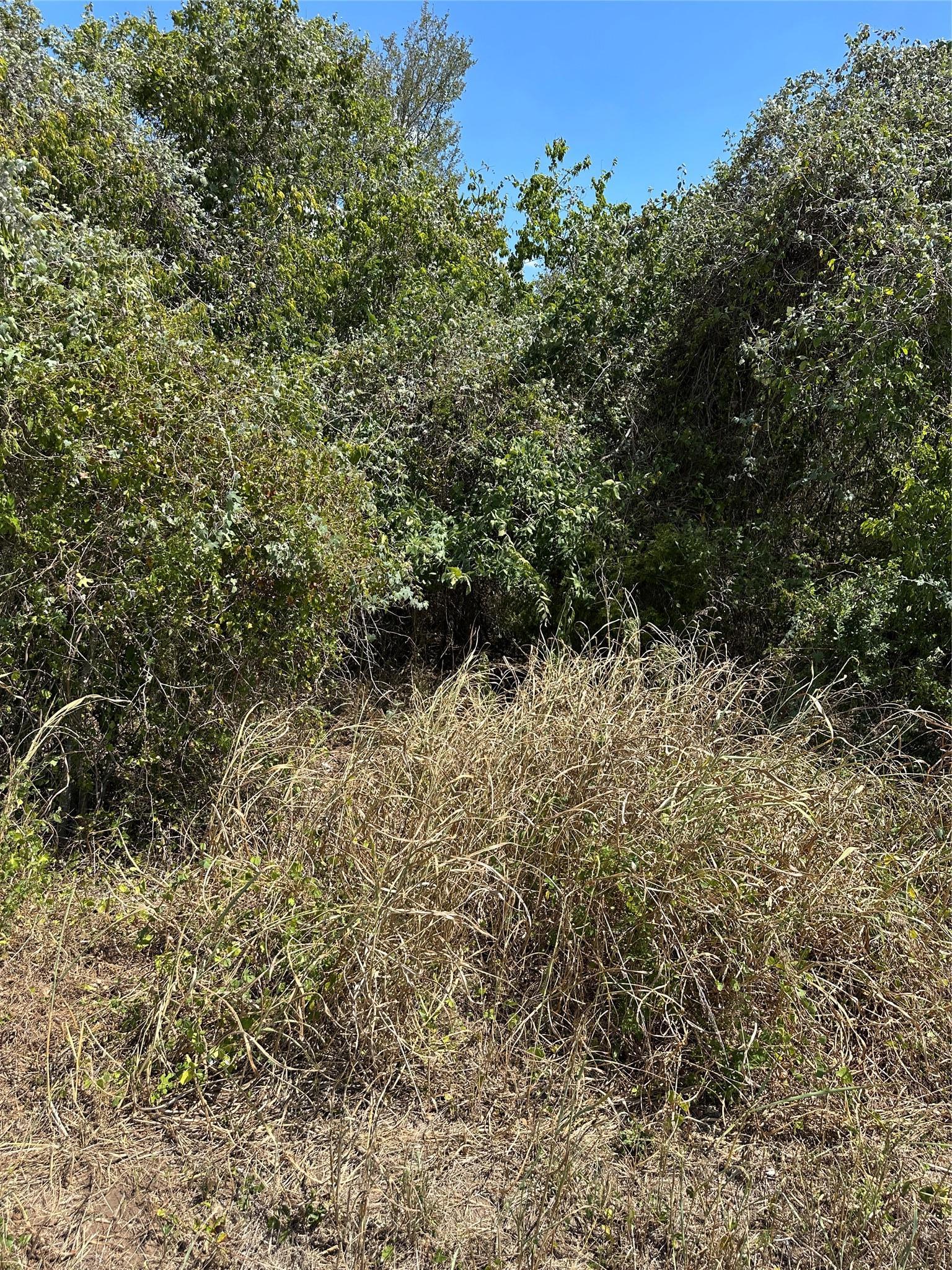 Tbd Pine Hill Loop Bastrop TX 78602