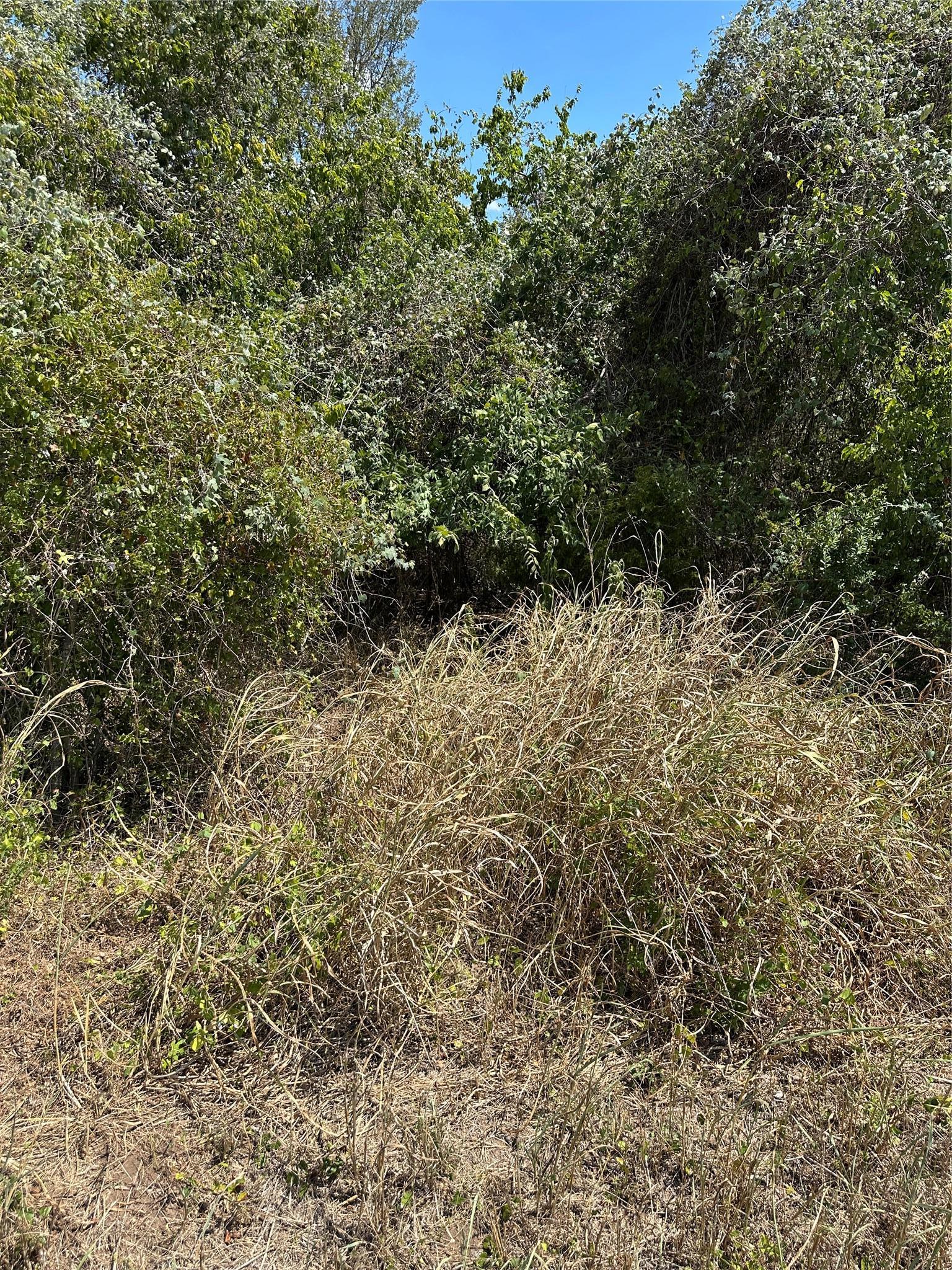 Tbd Pine Hill Loop Bastrop TX 78602