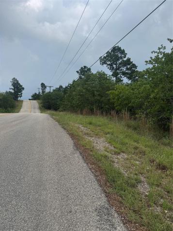 Lot 1612 Kaanapali Lane Bastrop TX 78602