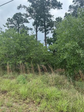 Lot 1612 Kaanapali Lane Bastrop TX 78602