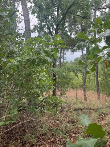 Lot 1612 Kaanapali Lane Bastrop TX 78602