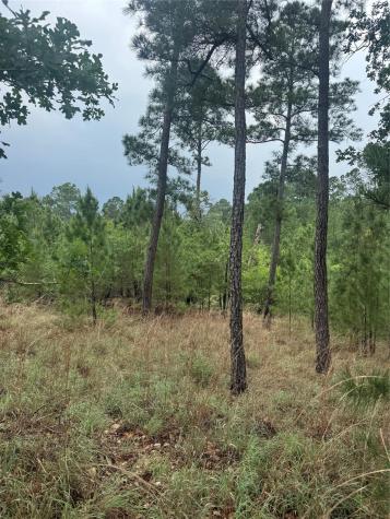 Lot 1612 Kaanapali Lane Bastrop TX 78602