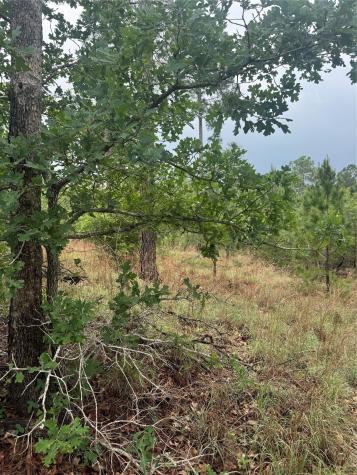 Lot 1612 Kaanapali Lane Bastrop TX 78602
