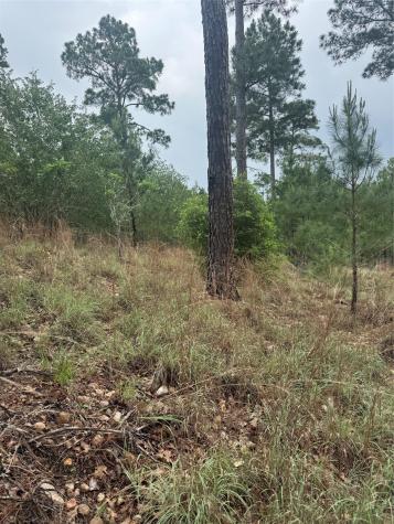 Lot 1612 Kaanapali Lane Bastrop TX 78602