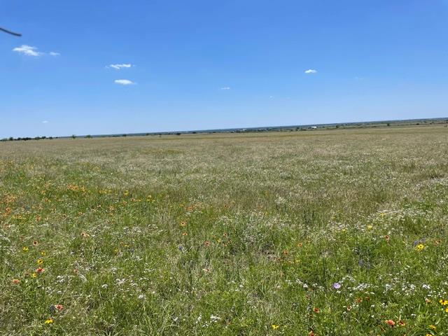 Tbd Fm 963 Bertram TX 78605