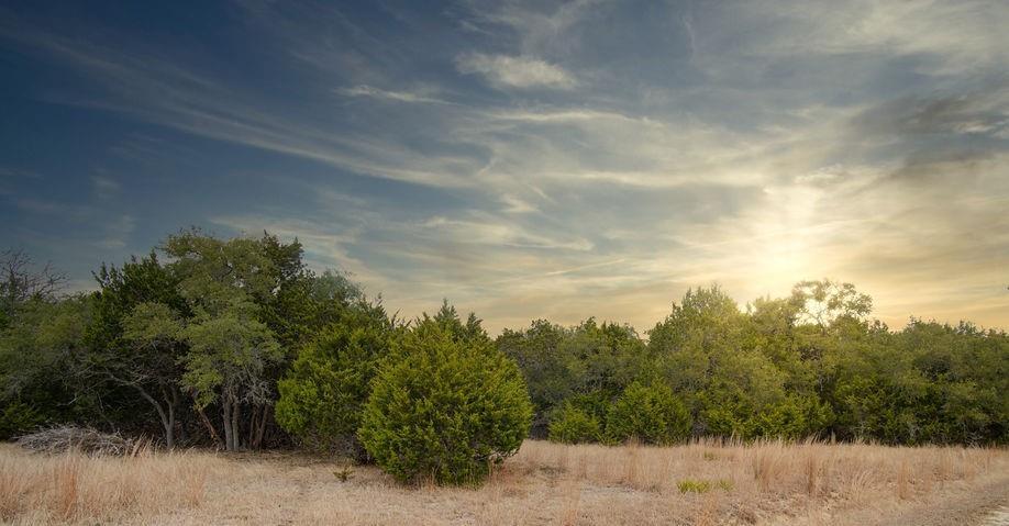 1055 Cielo Springs Drive Blanco TX 78606