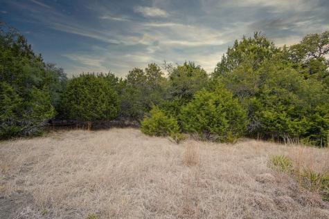 1055 Cielo Springs Drive Blanco TX 78606