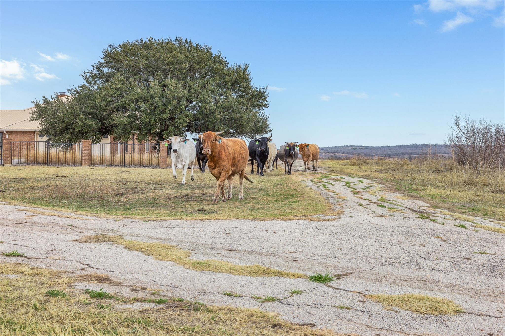 2884 Political Road Lockhart TX 78644