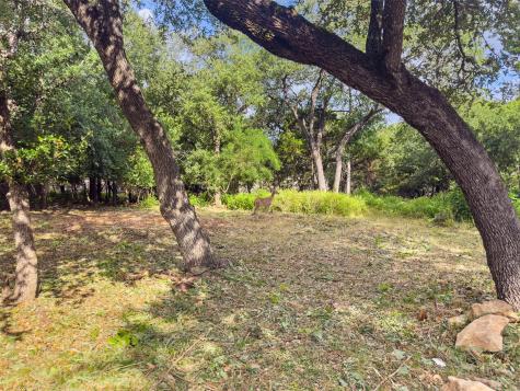105 Yaupon Court San Marcos TX 78666