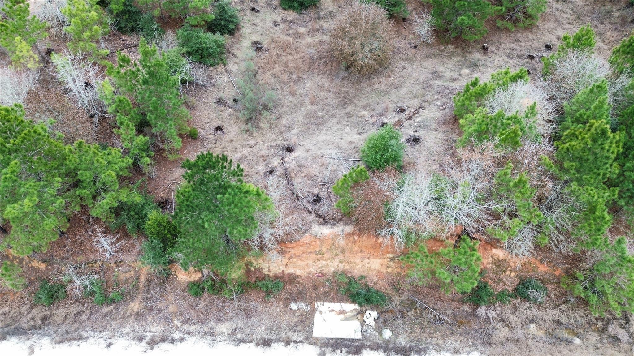 Lot 171 / R32192 Keo Kea Court Bastrop TX 78602