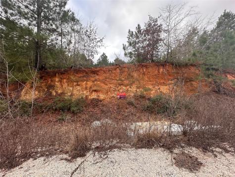 Lot 171 / R32192 Keo Kea Court Bastrop TX 78602