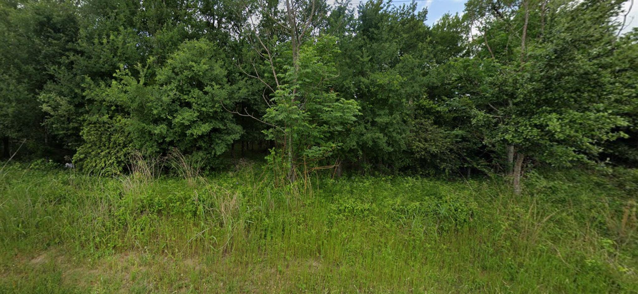 22 Timberforest Drive Bastrop TX 78602