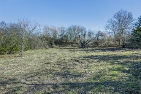 Tract 4 County Road 386 Groesbeck TX 76642