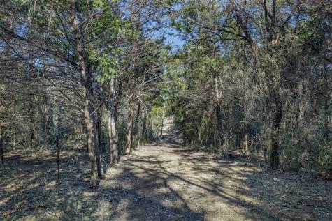 Tract 4 County Road 386 Groesbeck TX 76642