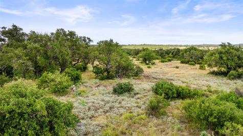 Lot 37 Vista Ridge Drive Round Mountain TX 78663