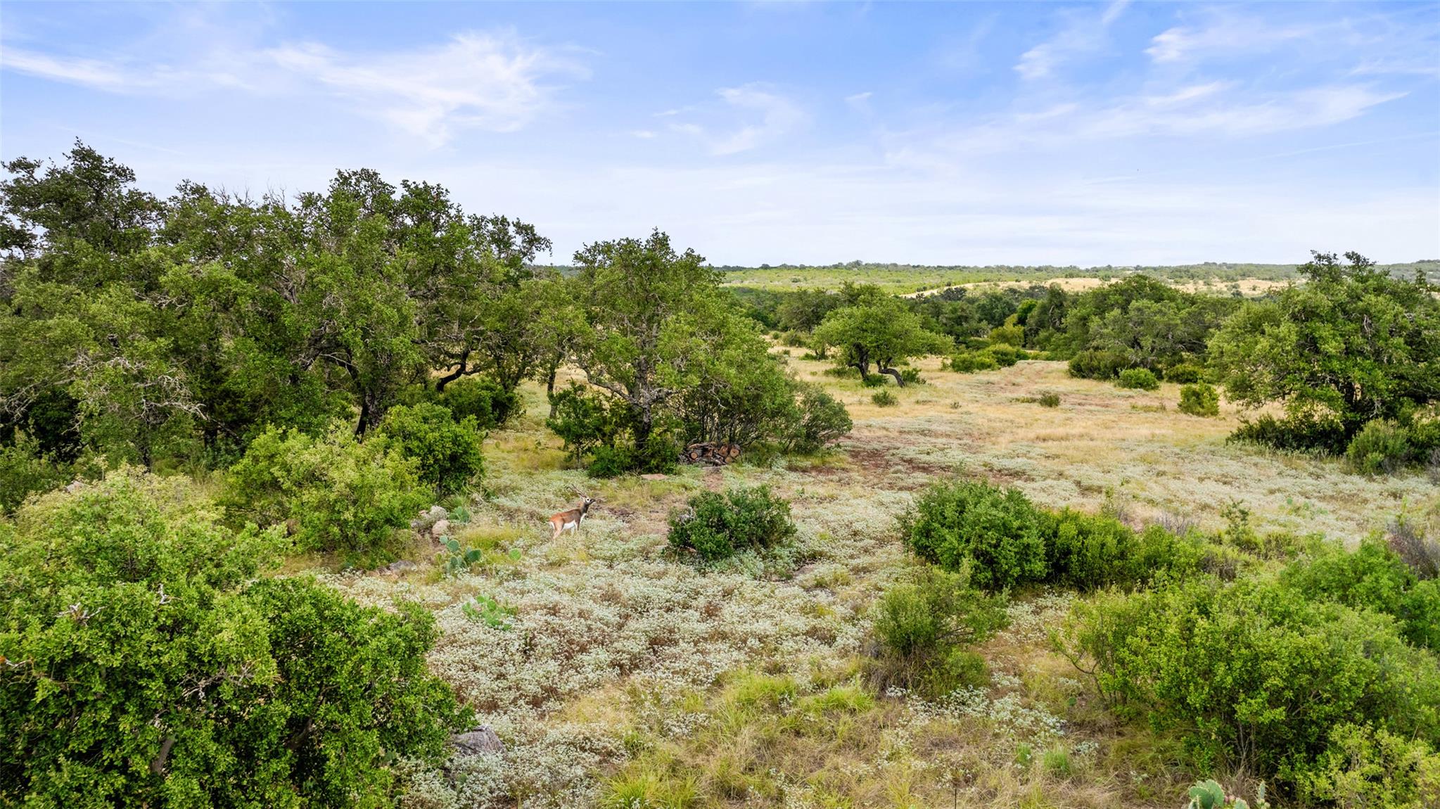 Lot 37 Vista Ridge Drive Round Mountain TX 78663