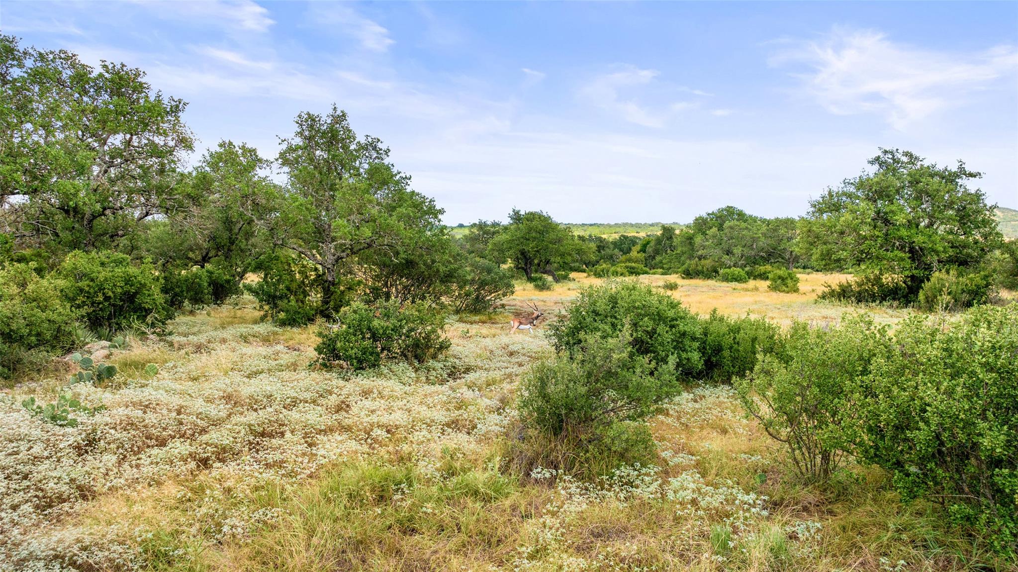 Lot 37 Vista Ridge Drive Round Mountain TX 78663