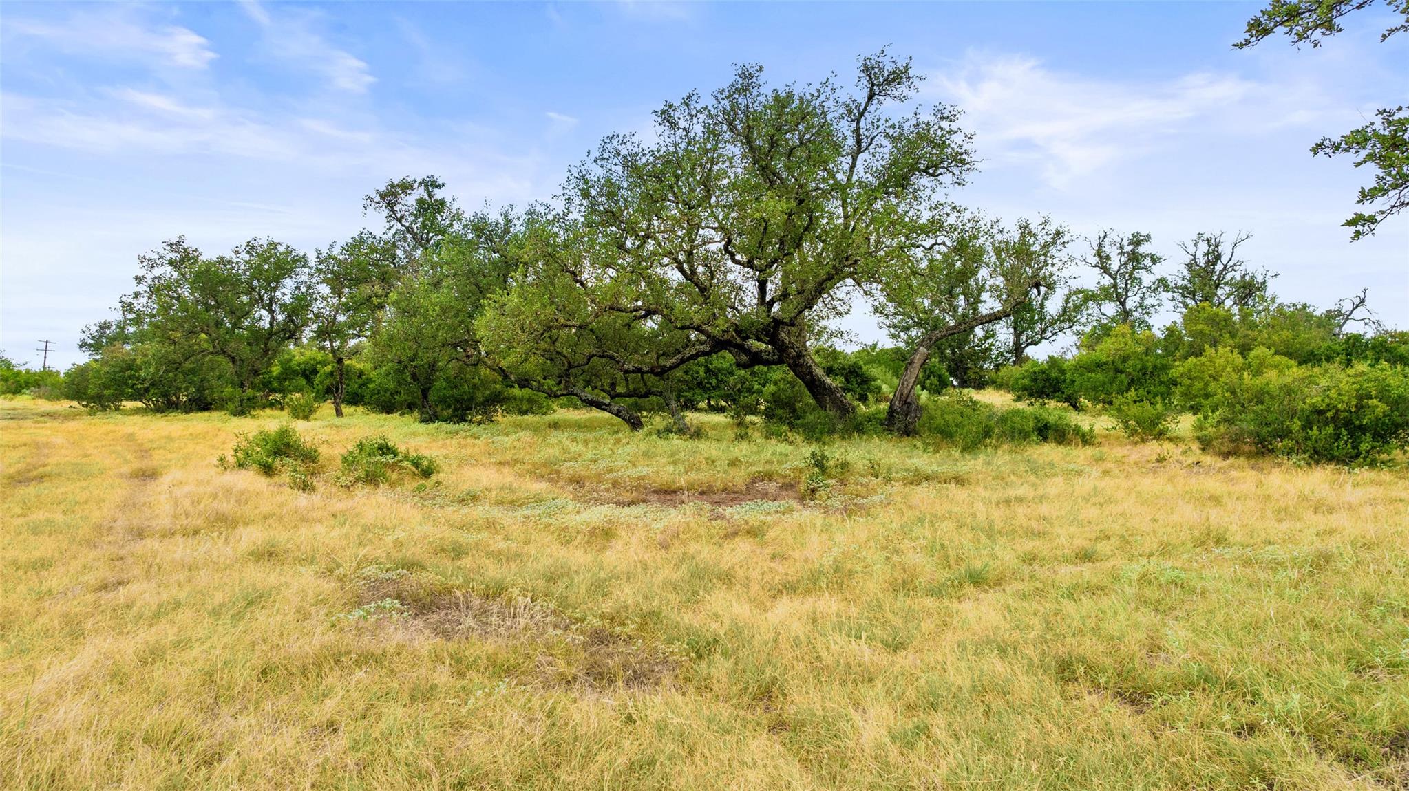 Lot 37 Vista Ridge Drive Round Mountain TX 78663