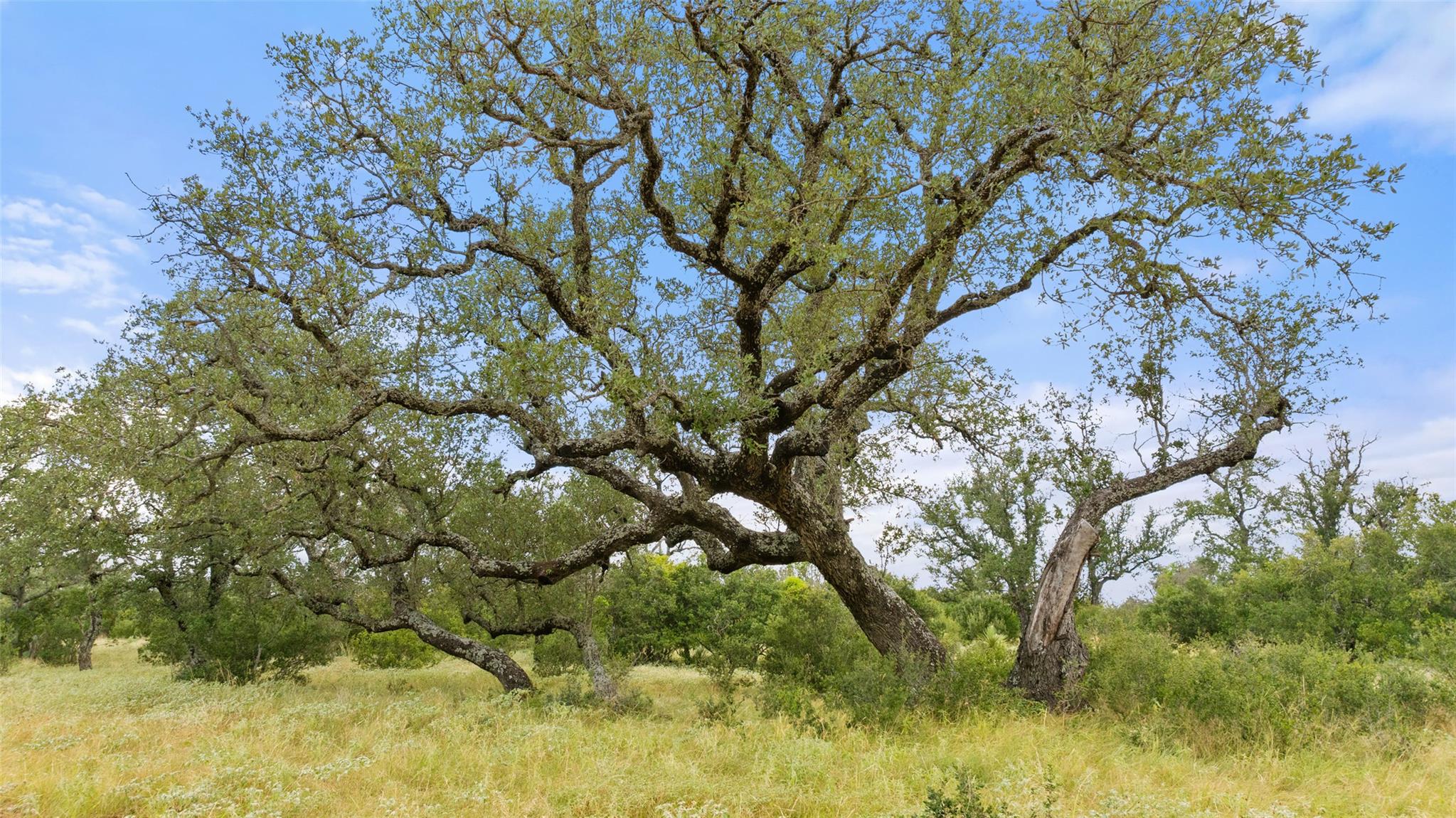 Lot 37 Vista Ridge Drive Round Mountain TX 78663
